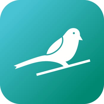 Unique Sparrow Vector Glyph Icon