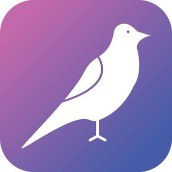 Unique Bird Vector Glyph Icon