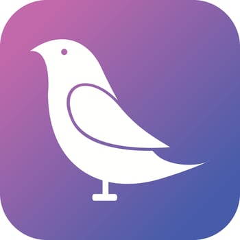 Unique Birds Vector Glyph Icon