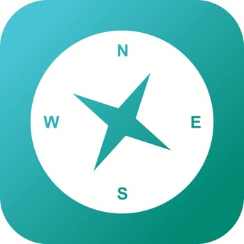 Unique Compass Vector Glyph Icon