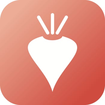 Unique Beet Vector Glyph Icon