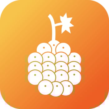 Unique Raspberry Vector Glyph Icon