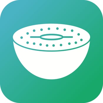 Unique Kiwi Vector Glyph Icon