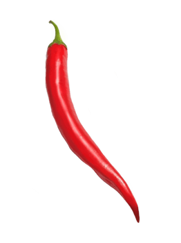 red hot chili pepper isolated on png