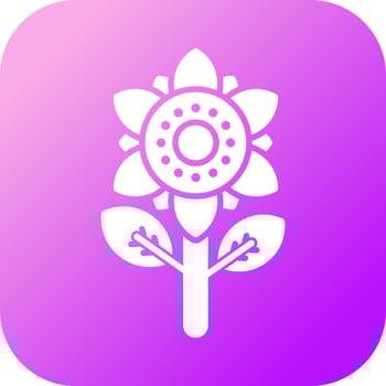 Flower Vector Icon