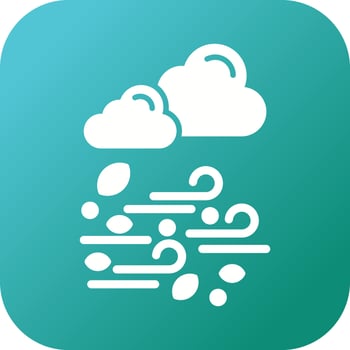 Wind Vector Icon