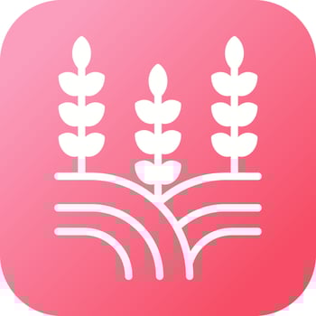 Field Vector Icon