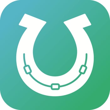 Horse Shoe Vector Icon