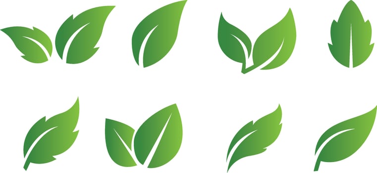 Set of abstract isolated green leaves icons on white background vector