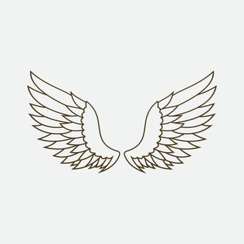 wings illustration design icon logo vector
