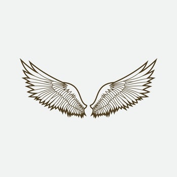wings illustration design icon logo vector