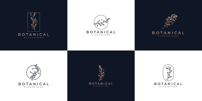 Set of botanical line art, symbol for beauty, health, and nature logo design vector