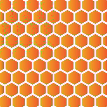 Bee or honeycomb logo,icon illustration design vector