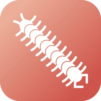 Centipede Vector Icon