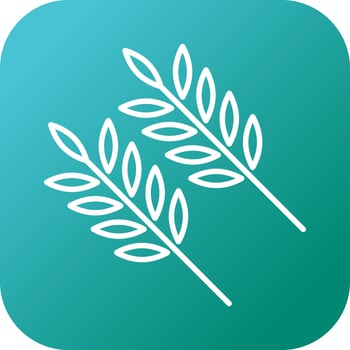 Beautiful Wheat Line Vector Icon