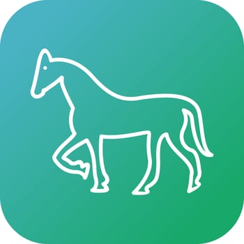 Beautiful Horse Line Vector Icon