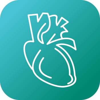 Beautiful heart vector line icon