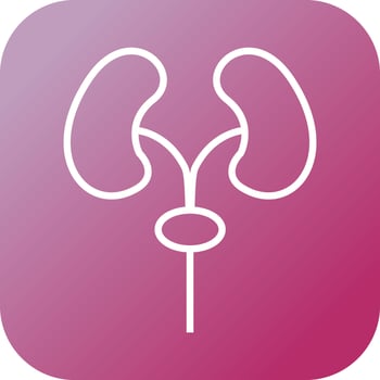 Beautiful lungs vector line icon