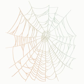 Vector outline illustration of a simple fancy Halloween spider web, isolated object on the white background, clipart useful for halloween party decoration, hand drawn image, cartoon spooky character.