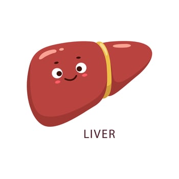 Cartoon healthy liver human body organ character vector