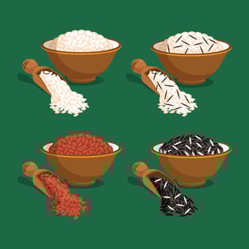 Asianfood. Different Types Of Rice In Cups And On Spoons. White, Red, Brown, Black Rice. Poster vector