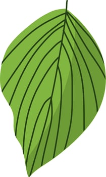 Beautiful green leaf vector