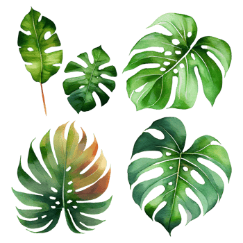 Green tropical leaves watercolor png