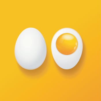 Realistic Detailed 3d Whole Chicken Egg and Half Set. Vector