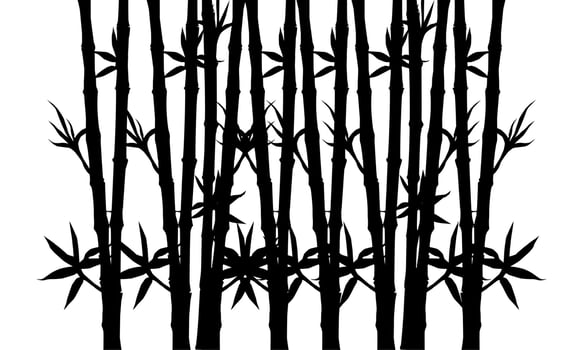 Bamboo Silhouettes for Art Illustration, Background, Decoration, Ornate, Website or Graphic Design Element. Vector Illustration