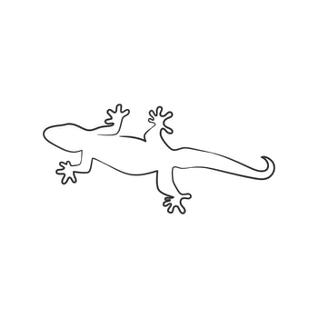Lizard reptile continuous line art drawing vector