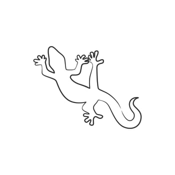 Lizard reptile continuous line art drawing vector
