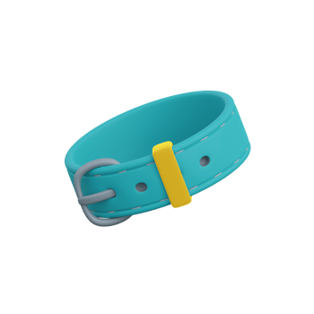 3d pet collar icon png