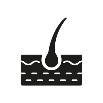 Hair Bulb Silhouette Icon. Structure of Man Follicle Black Pictogram. Icon of Hair Bulb for Science or Dermatology. Isolated Vector Illustration.