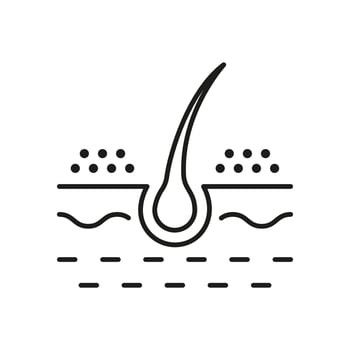 Hair Dandruff Line Icon. Dermatology Problem of Hair Dandruff Black Outline Pictogram. Unhealthy or Dirty Follicle Icon. Editable Stroke. Isolated Vector Illustration.