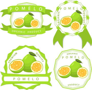 Sweet juicy tasty natural eco product pomelo png