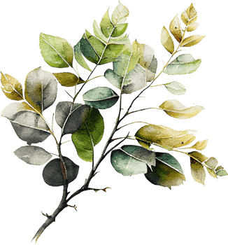 Green Watercolor Painting Natural Leaves Branch png