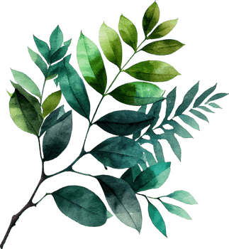 Green Watercolor Painting Natural Leaves Branch png