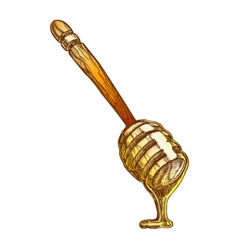Color Honey Dripping From Wooden Dipper Stick Vector