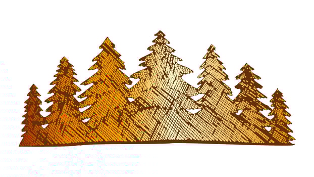 Color Drawn Landscape Pinery Coniferous Forest Vector