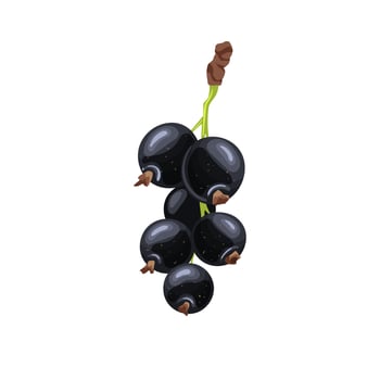 black currant ripe cartoon vector illustration