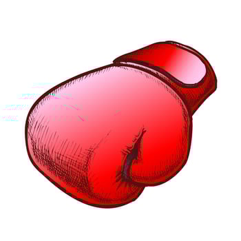 Boxing Glove Protect Sportwear Color Vector