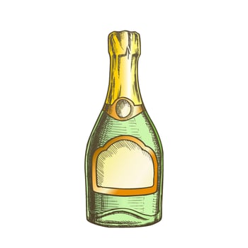 Champagne Blank Bottle Alcohol Color Vector