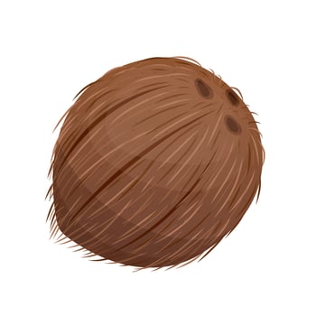 brown coconut fruit cartoon vector illustration