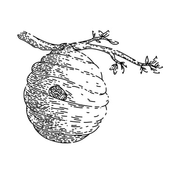 beehive sketch hand drawn vector