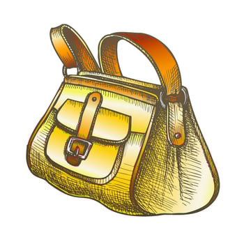 Fashion Stylish Hand Luggage Bag Color Vector