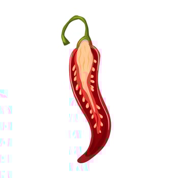 sliced chili pepper cartoon vector