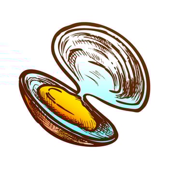 Shell Meat Scallop, Mussel Or Oyster Retro Vector