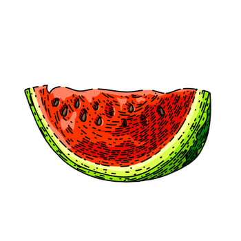 watermelon slice sketch hand drawn vector