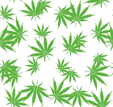 Cannabis or Marijuana Seamless Pattern with Leavevs Isolated on White. vector