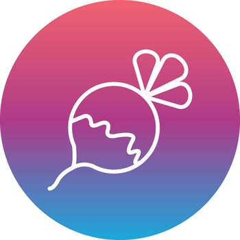 Turnip Vector Icon